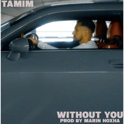 Without You (feat. Marin Hoxha)