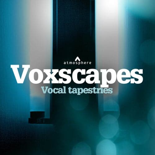 Voxscapes