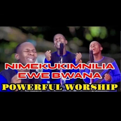 NIMEKUKIMBILIA EWE BWANA NISIAIBIKE NISIZAME (Original)