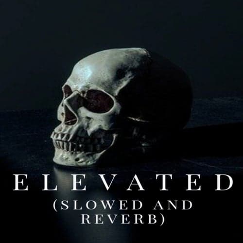 Elevated (Slowed+Reverb)