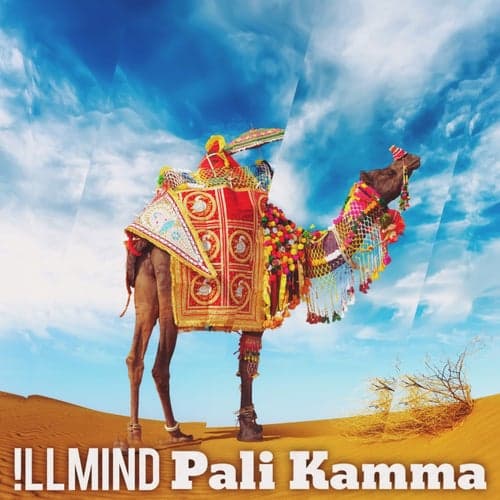 Pali Kamma - Single
