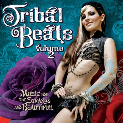 Tribal Beats Volume 2