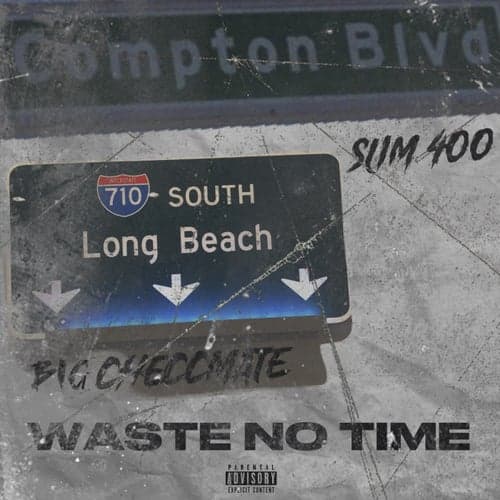 Waste No Time (feat. Slim 400)