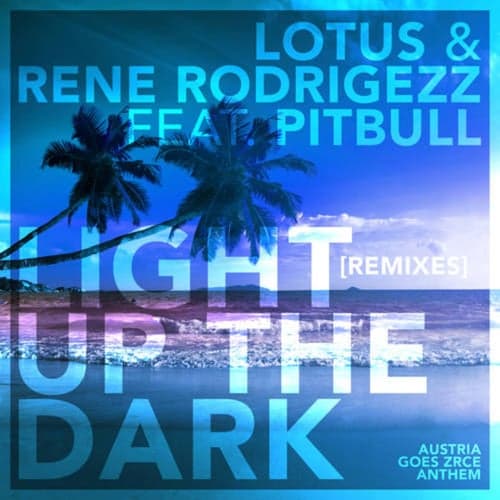 Light up the Dark (Remixes)