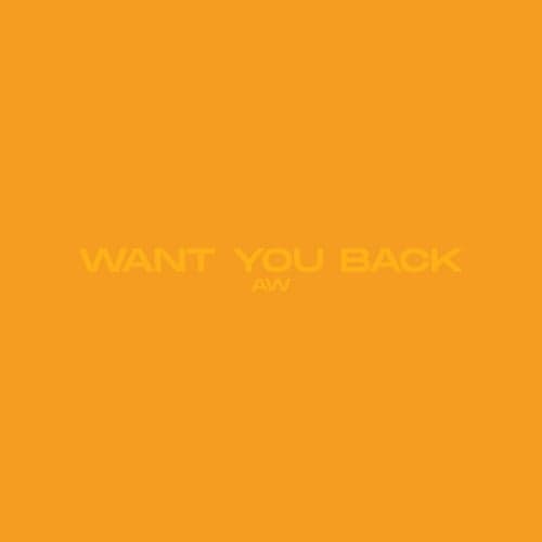 Want You Back