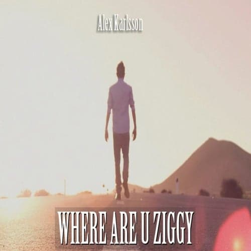 Where Are U Ziggy - Single