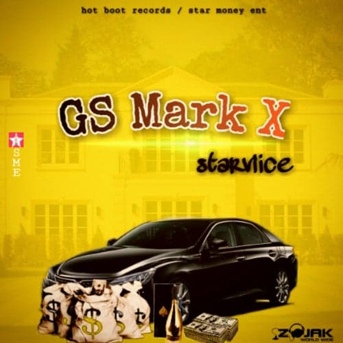 GS Mark X