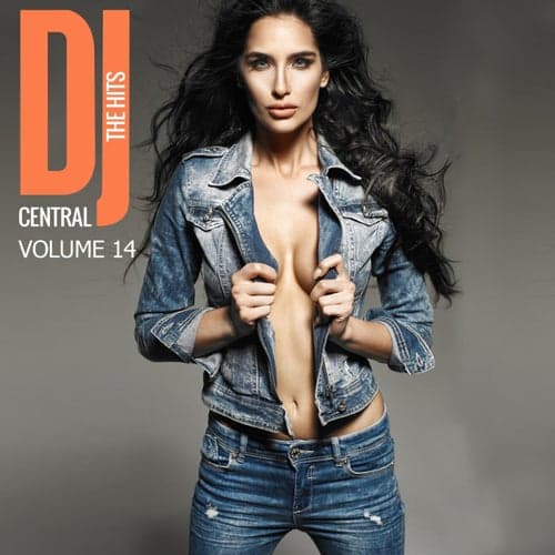 DJ Central - The Hits, Vol. 14