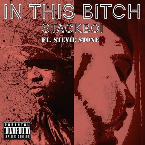 In This Bitch (feat. Stevie Stone)