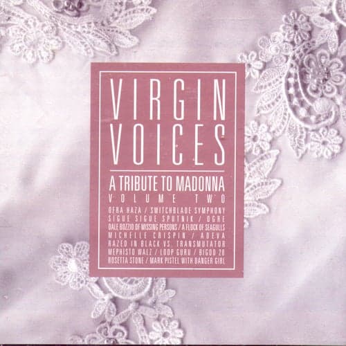 Virgin Voices: a Tribute to Madonna Volume Two