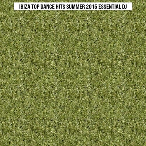 Ibiza Top Dance Hits Summer 2015 Essential DJ (Top 50 Songs Dance Hit Parade)