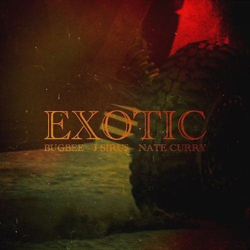 Exotic (feat. J. Sirus & Nate Curry)