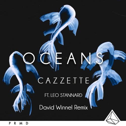 Oceans (Dave Winnel Remix)