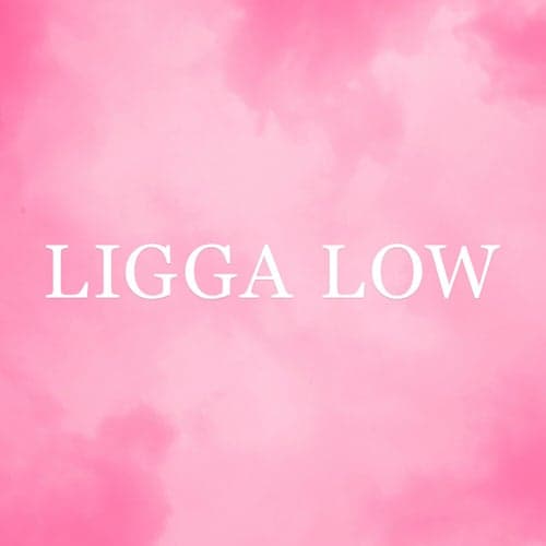 LIGGA LOW
