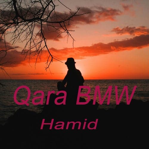Qara BMW