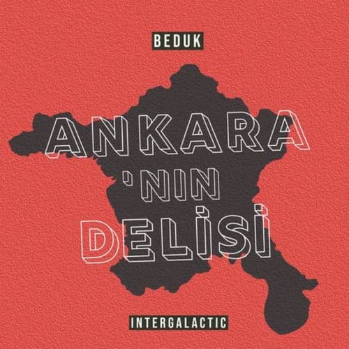 Ankara'nın Delisi