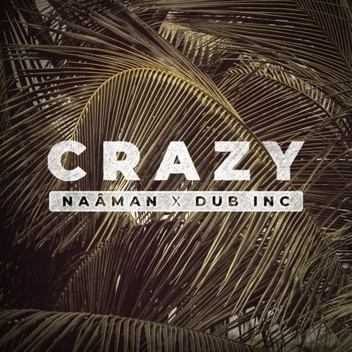 Crazy (feat. Dub Inc)