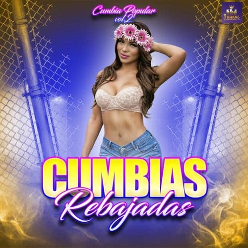 Cumbia Popular Vol. 2