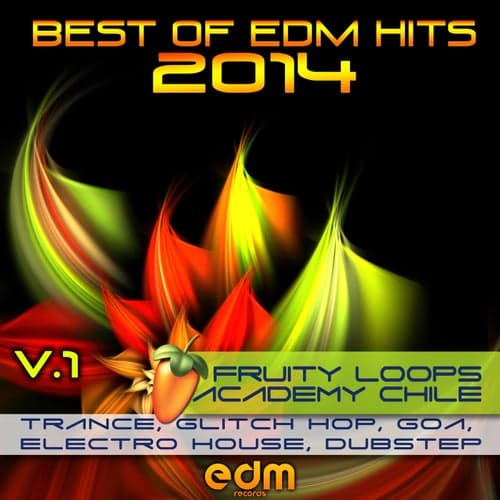 Best of EDM Hits 2014 - Fruity Loops Academy Chile, Vol. 1, Trance, Glitch Hop, Goa, Electro House