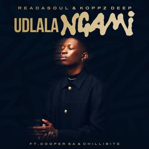Udlala Ngami (feat. Cooper SA & Chillibite)
