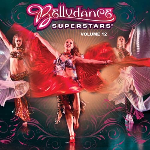 Bellydance Superstars Vol. 12