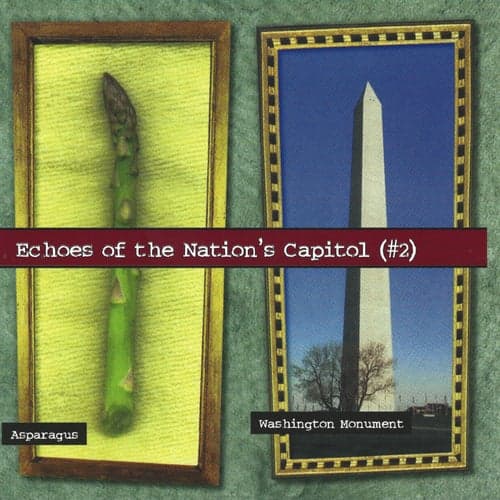Echoes of the Nation's Capitol (#2)