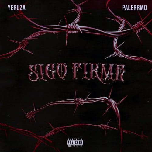 Sigo Firme (feat. Palerrmo)