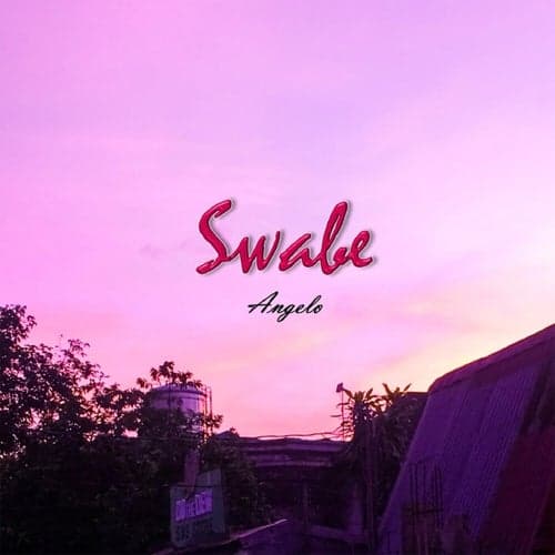 Swabe