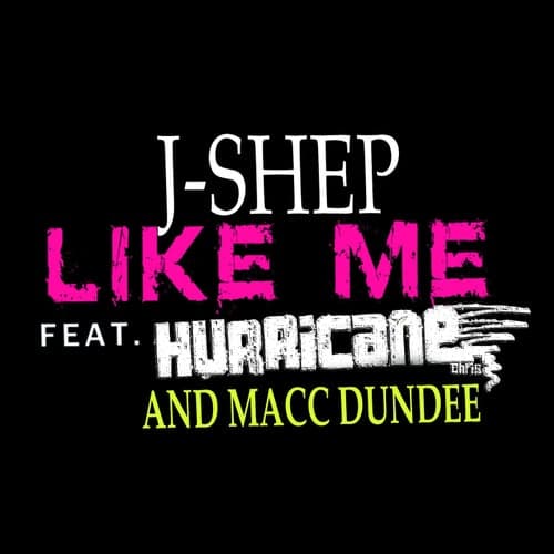 Like Me (feat. Hurricane Chris & Macc Dundee)