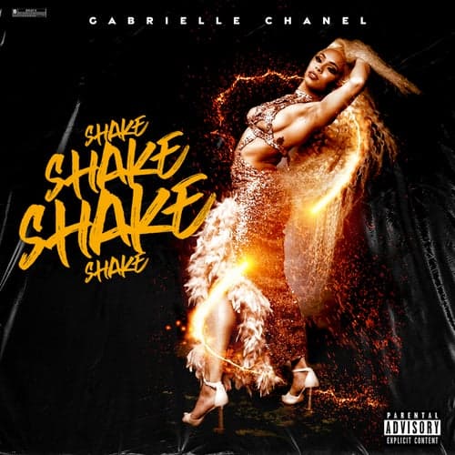 Shake Shake Shake Shake