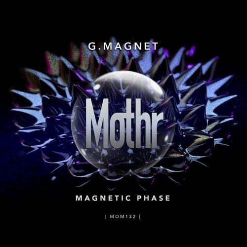 Magnetic Phase