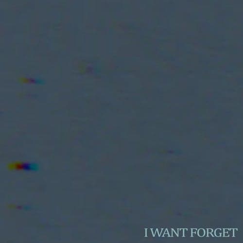 I Want To Forget