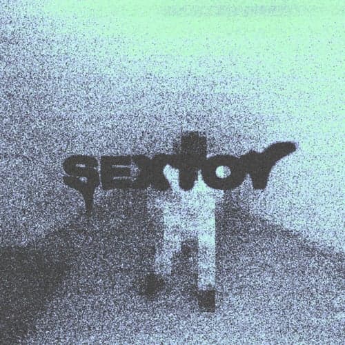 Sextoy