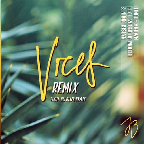 Vices (feat. Word of Mouth, Nikki Cislyn) [D'Lux Beats Remix]