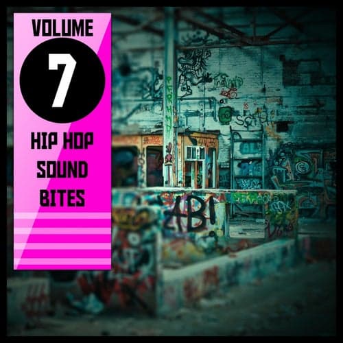 Hip Hop Sound Bites, Vol. 7