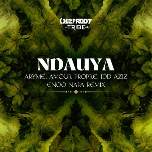 Ndauya - Enoo Napa Remix