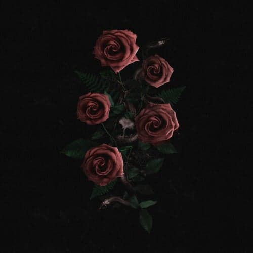 Roses In The Concrete