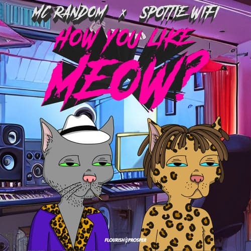How You Like Meow? (Remix)