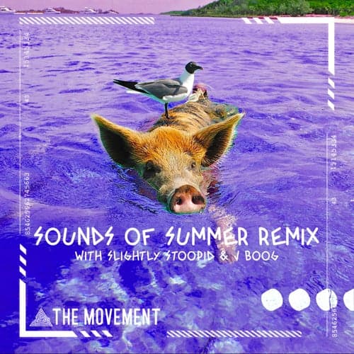 Sounds of Summer (Remix)