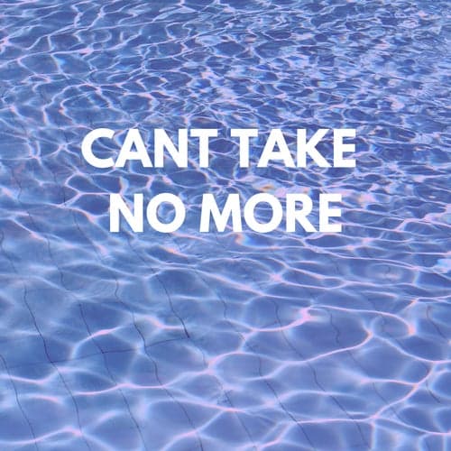 Can't Take No More (feat. DjLightup Prince)
