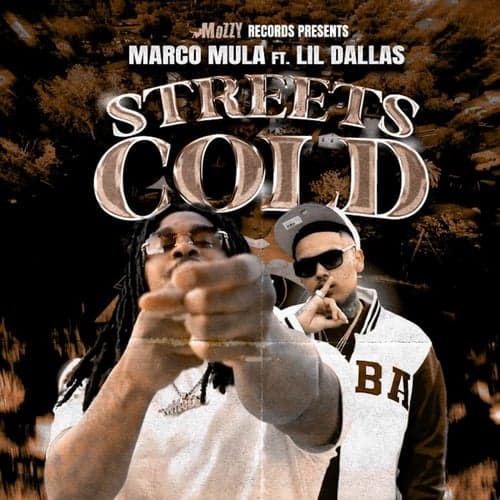 Streets Cold (feat. Lil Dallas)