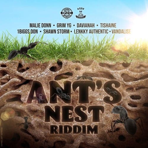 Ant's Nest Riddim