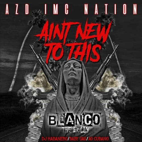 Aint New To This (feat. Baby Gas, Ag Cubano & Dj Habanero)