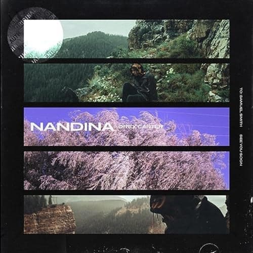 Nandina