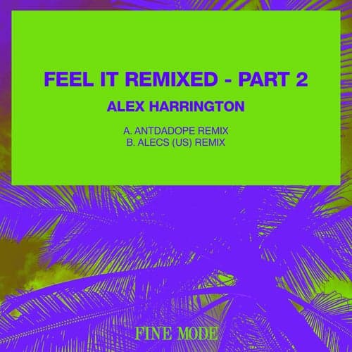 Feel It Remixed - Part 2