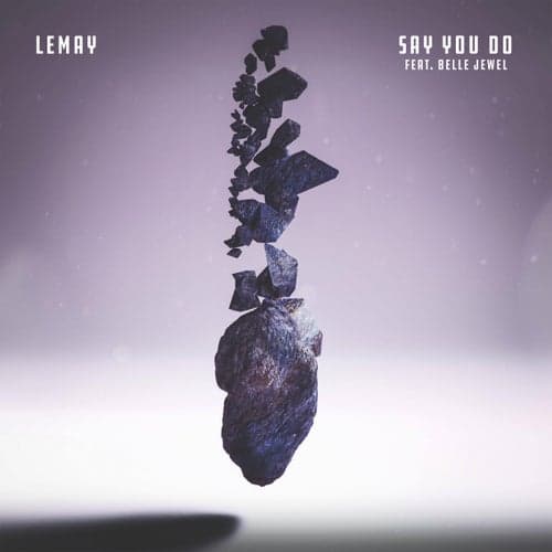 Say You Do (feat. Belle Jewel)