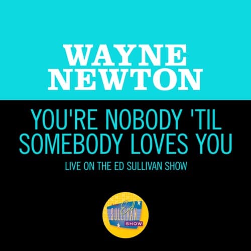 You're Nobody 'Til Somebody Loves You