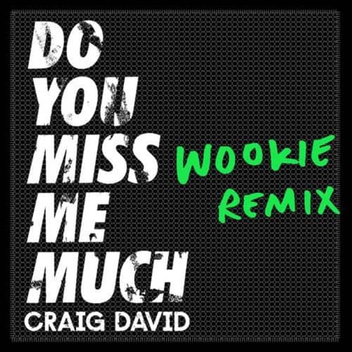 Do You Miss Me Much (Wookie Remix)