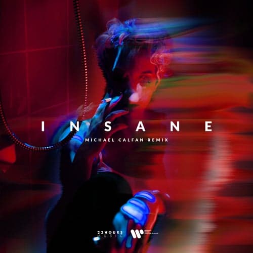 Insane (feat. Dominic Neill) [Michael Calfan Remix]