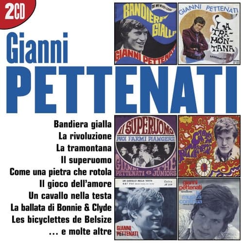I Grandi Successi: Gianni Pettenati